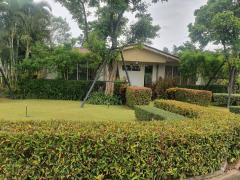 ขายบ้านเขาใหญ่ วรินทร 168 เขาใหญ่ปากช่อง อากาศดีตลอดทั้งปี ทำเลดีมาก จ.นครราชสีมา คุณโอ๋ 098-097-8715-202409111112011726027921492.jpg