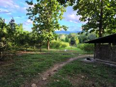 ขายที่ดินแม่ริม วิวเขา ใกล้โรงเรียนนานาชาติเปรมฯ เพียง900 เมตร จ.เชียงใหม่   คุณโอ๋ 098-097-8715-202409111158211726030701649.jpg