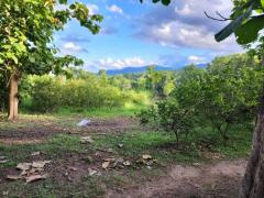 ขายที่ดินแม่ริม วิวเขา ใกล้โรงเรียนนานาชาติเปรมฯ เพียง900 เมตร จ.เชียงใหม่   คุณโอ๋ 098-097-8715-202409111158231726030703243.jpg