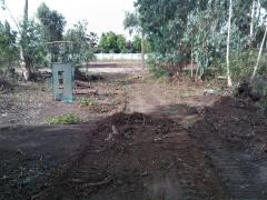 ขายที่ดินคลองหลวง ใกล้มหาวิทยาลัย กรุงเทพ จ.ปทุมธานี-202409111253051726033985520.jpg