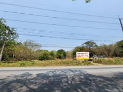 ขายที่ดิน ติดถนนสุขุมวิท ใกล้แหล่งท่องเที่ยว ท่าเรือเพ เพียง 2 กม. จ.ระยอง-202409121406081726124768473.jpg