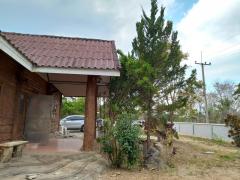 ขายบ้านเขาใหญ่ ปากช่อง อากาศดีตลอดทั้งปี ใกล้เซเว่น เพียง 10 กม. จ.นครราชสีมา-202409121434591726126499605.jpg