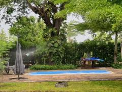 ขายบ้านสไตล์ล้านนา รีสอร์ท บนพื้นที่เกือบ 2 ไร่ ท่ามกลางธรรมชาติ อำเภอหางดง-202409121656521726135012939.jpg