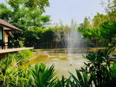 ขายบ้านสไตล์ล้านนา รีสอร์ท บนพื้นที่เกือบ 2 ไร่ ท่ามกลางธรรมชาติ อำเภอหางดง-202409121656531726135013676.jpg