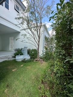 ให้เช่า บ้านเดี่ยว M521  วิลลาจจิโอ 3 ศรีนครินทร์ - บางนา 227 ตรม 75 ตรว-202409131504421726214682040.jpg