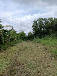 ขายที่ดินเลียบคลองสิบสามฝั่งตะวันออก36 ใกล้เซเว่นเพียง 9 กม. 