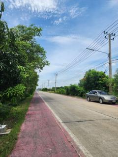 ขายที่ดินแปลงนาคลอง12 แปลงสวยหน้ากว้าง ต.หนองสามวัง อ.หนองเสือ จ.ปทุมธานี-202409141241161726292476951.jpg