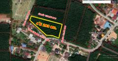 ขายที่ดินติดถนนคอนกรีตทั้ง 2 ด้าน ใกล้ 7-Eleven เพียง 850 เมตร จ.ระยอง-202409151347441726382864142.jpg