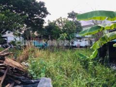 ขาย/ให้เช่า ที่ดินเปล่าซอยดาราฉาย 1/1 ย่านอ่อนนุช 46-202409151510381726387838661.jpg