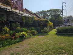 ขายที่ดินพร้อมรีสอร์ทเข้าค้อเพชรบูรณ์ เดินทางสะดวก ใกล้เซเว่นเพียง 500 เมตร-202409151614491726391689679.jpg