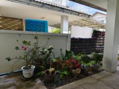 ขายบ้านเดี่ยว 2 ชั้น หมู่บ้านมัณฑนา พุทธบูชา ใกล้ทางด่วนสุขสวัสดิ์ #LB128 – 000850-202409161557391726477059260.jpg