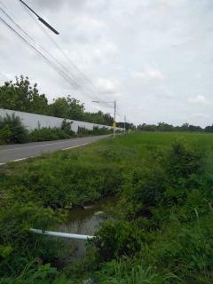 ขายที่ดินคลองหก ติดถนน เดินทางสะดวก ใกล้เซเว่น เพียง 3 กม. จ.ปทุมธานี-202409191130081726720208545.jpg