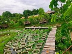 ขายบ้านโคราช บ้านสวนโคกหนองนา ใกล้เซเว่น เพียง 2 กม.จ.นครราชสีมา-202409191339381726727978531.jpg