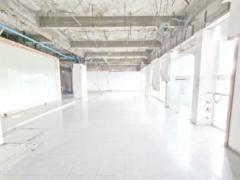 ปล่อยเช่า โชว์รูม ติดบนถนนบางนา-ตราด ใกล้รถไฟฟ้าศรีเอี่ยม (N.1384)-202409251647121727257632279.jpg