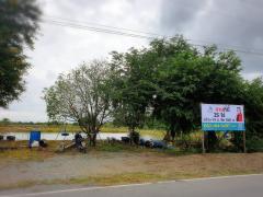 ขายที่ดินเปล่า ขนาดพื้นที่ 25 ไร่ บางเลน นครปฐม-202410011447231727768843451.jpg