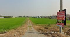 ที่ดิน29ไร่ พื้นที่สีหลือง หน้ากว้าง 100ม. ถนน1013 บ้านกล้วย-ไทรน้อย ตำบล พิมลราช อำเภอบางบัวทอง นนทบุรี  -202410021854431727870083758.jpg