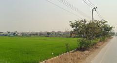 ที่ดิน29ไร่ พื้นที่สีหลือง หน้ากว้าง 100ม. ถนน1013 บ้านกล้วย-ไทรน้อย ตำบล พิมลราช อำเภอบางบัวทอง นนทบุรี  -202410021854461727870086667.jpg