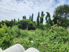 ขาย ที่ดินเปล่า ถมแล้ว 200 ตร.ว. ถ.บางบัวทอง-สุพรรณบุรี (สาย 340)-202410031112581727928778548.jpg