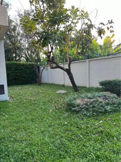 NTG428 ให้เช่า บ้านเดี่ยว 3ชั้น เพอร์เฟค มาสเตอร์พีซ พระราม 9   พร้อมสระว่ายน้ำ ตกแต่งพร้อมอยู่ ติดถนนใหญ่ และ Airport Link สถานีหัวหมาก-202410031829011727954941057.jpg