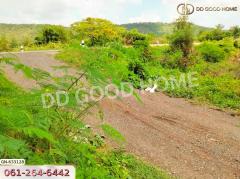 ที่ดินโคกสำโรง 1 ไร่ ลพบุรี ใกล้วัดมะม่วงเจ็ดต้น-202410051857331728129453480.jpg