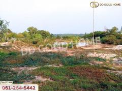 ที่ดินเมืองหนองคาย 8 ไร่ 170 ตร.ว. ใกล้วัดป่าวิทูนโพธิ์-202410052314081728144848847.jpg