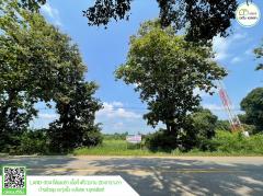 ที่ดิน (ติดถนนหมาย 102 อุตรดิตถ์-สุโขทัย) รูปแปลงสี่เหลี่ยมผืนผ้า พร้อมใช้ประโยชน์ทันที-202410111700511728640851086.jpg