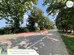 ที่ดิน (ติดถนนหมาย 102 อุตรดิตถ์-สุโขทัย) รูปแปลงสี่เหลี่ยมผืนผ้า พร้อมใช้ประโยชน์ทันที-202410111700521728640852359.jpg