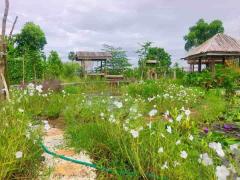 ขายบ้านโคราช บ้านสวนโคกหนองนา ใกล้เซเว่น เพียง 2 กม.จ.นครราชสีมา-202410161358391729061919023.jpg