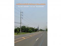 ขายที่ดินเปล่า-2-ไร่เศษ-ติดถนนแจ้งสน