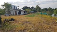 ขายที่ดิน ย่านลาดกระบังบรรยากาศ ติดริมคลอง เนื้อที่ 3ไร่2งาน 95 ตรว. (N.1412)-202410181334361729233276414.jpg