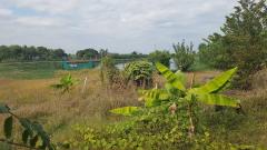 ขายที่ดิน ย่านลาดกระบังบรรยากาศ ติดริมคลอง เนื้อที่ 3ไร่2งาน 95 ตรว. (N.1412)-202410181334371729233277143.jpg