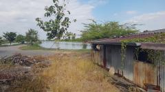 ขายที่ดิน ย่านลาดกระบังบรรยากาศ ติดริมคลอง เนื้อที่ 3ไร่2งาน 95 ตรว. (N.1412)-202410181334371729233277871.jpg