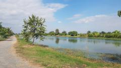 ขายที่ดิน ย่านลาดกระบังบรรยากาศ ติดริมคลอง เนื้อที่ 3ไร่2งาน 95 ตรว. (N.1412)-202410181334381729233278597.jpg