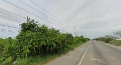 ที่ดิน36ไร่ พื้นที่สีเขียว หน้ากว้าง 227ม. ถนน346 ปทุมธานี-บางเลน ตำบล บางภาษี อำเภอบางเลน นครปฐม -202410192028191729344499394.jpg