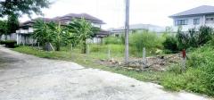ขาย ที่ดิน พุทธมณฑลสาย1 ตลิ่งชัน กทม.ซ.35 190 ตร.วา แปลงสวย บรรยากาศดี ขายถูก-202410211050361729482636922.jpg