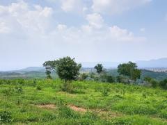 ขาย ที่ดิน -ขายที่ดิน เขาใหญ่ ต.วังไทร อ.ปากช่อง 12ไร่ วิวเขา สวยมากๆ-202410212240591729525259407.jpg