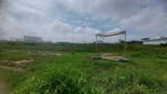 ขายที่ดินสวย1-3-87.9ไร่ ซ.ลาดกระบัง30/1 ใกล้สุวรรณภูมิ (N.1418)-202410231119321729657172054.jpg