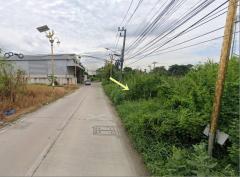 ขายที่ดินติดถนน ลาดกระบัง 14-1 เนื้อที่ 201 ตรว ใกล้ถนนลาดกระบัง-202410281503541730102634867.jpg