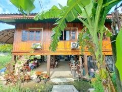 ขายบ้านสวนนนทบุรี บางใหญ่ บ้านปูนลายไม้ 278 ตรว.ถนนบางใหญ่-บางคูลัด ใกล้วัดสะแก การไฟฟ้าบางใหญ่, นนทบุรี ใกล้ถนนรัตนาธิเบศร์และถนนกาญจนาภิเษก-202410281543501730105030704.jpg