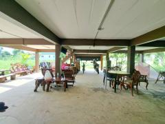 ขายบ้านสวนนนทบุรี บางใหญ่ บ้านปูนลายไม้ 278 ตรว.ถนนบางใหญ่-บางคูลัด ใกล้วัดสะแก การไฟฟ้าบางใหญ่, นนทบุรี ใกล้ถนนรัตนาธิเบศร์และถนนกาญจนาภิเษก-202410281544471730105087691.jpg