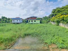 ขายบ้านสวนนนทบุรี บางใหญ่ บ้านปูนลายไม้ 278 ตรว.ถนนบางใหญ่-บางคูลัด ใกล้วัดสะแก การไฟฟ้าบางใหญ่, นนทบุรี ใกล้ถนนรัตนาธิเบศร์และถนนกาญจนาภิเษก-202410281544491730105089174.jpg