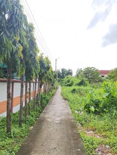 ขายบ้านสวนนนทบุรี บางใหญ่ บ้านปูนลายไม้ 278 ตรว.ถนนบางใหญ่-บางคูลัด ใกล้วัดสะแก การไฟฟ้าบางใหญ่, นนทบุรี ใกล้ถนนรัตนาธิเบศร์และถนนกาญจนาภิเษก-202410281544561730105096206.jpg