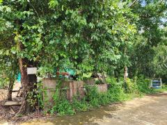 ขาย ที่ดิน 1 งาน ซ.คลองห้าตะวันตก 73 อ.คลองหลวง จ.ปทุมธานี-202410300946131730256373708.jpg