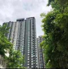 ให้เช่า คอนโด M588 Life Asoke 54 ตรม เฟอร์นิเจอร์ครบครัน-202410301537391730277459392.jpg