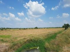 ขาย ที่ดิน ริมถ.คลองเก้า ขนาดใหญ่  ติดสามแยกไมตรีจิต 43 ไร่ 15.5 ตร.วา-202411041742121730716932407.jpg