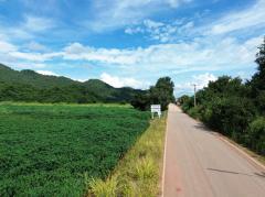 ขาย ที่ดิน เขาใหญ่ ต.​หนองน้ำแดง​ อ.ปากช่อง 4 ไร่ 1 งาน 40 ตรว ​แค่เห็นวิว ก็มีความสุขแล้ว-202411051133151730781195069.jpg