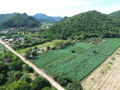 ขาย ที่ดิน เขาใหญ่ ต.​หนองน้ำแดง​ อ.ปากช่อง 4 ไร่ 1 งาน 40 ตรว ​แค่เห็นวิว ก็มีความสุขแล้ว-202411051133171730781197366.jpg