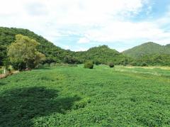ขาย ที่ดิน เขาใหญ่ ต.​หนองน้ำแดง​ อ.ปากช่อง 4 ไร่ 1 งาน 40 ตรว ​แค่เห็นวิว ก็มีความสุขแล้ว-202411051133211730781201482.jpg