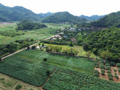 ขาย ที่ดิน เขาใหญ่ ต.​หนองน้ำแดง​ อ.ปากช่อง 4 ไร่ 1 งาน 40 ตรว ​แค่เห็นวิว ก็มีความสุขแล้ว-202411051133221730781202369.jpg
