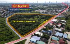 ขาย-ที่ดิน-เมืองพัทยา-เหมาะสร้าง-โคร